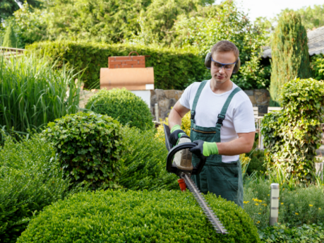 Top 5 Best Vans for Gardeners