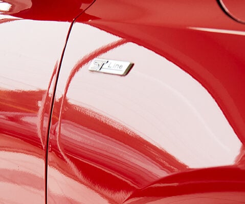 Paint Protection