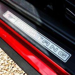 Ford Mustang GT 5.0 V8 Manual 1