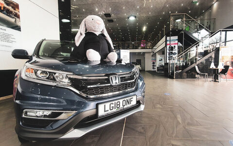 Name the Bunny on the Bonnet
